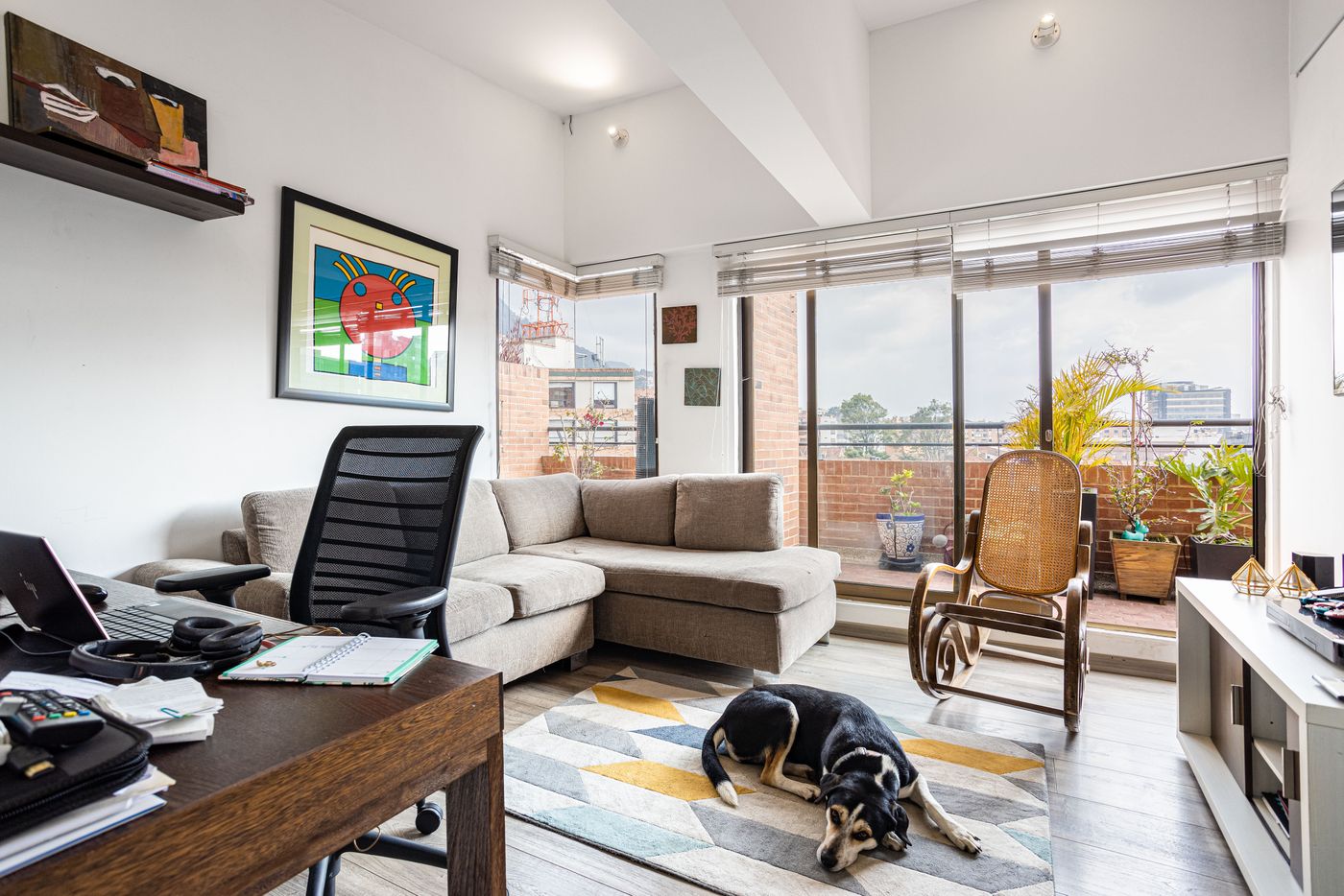 A dog resting on the floor of a furnished living room.