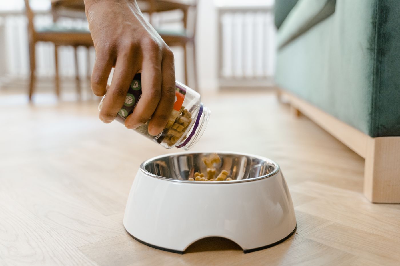 A hand pouring food from a container into a dog bowl.