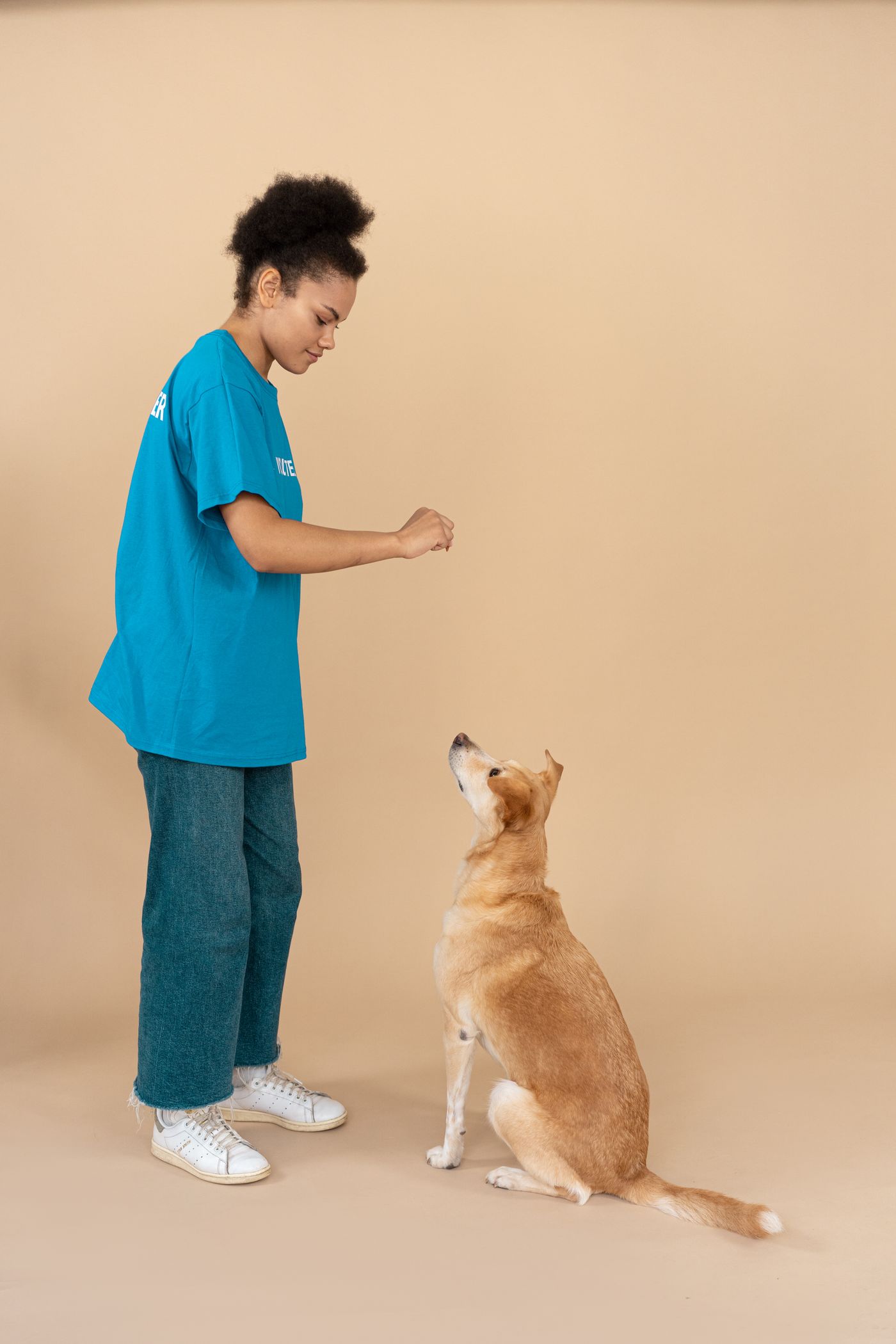 A person practising a cue with a seated dog indoors.
