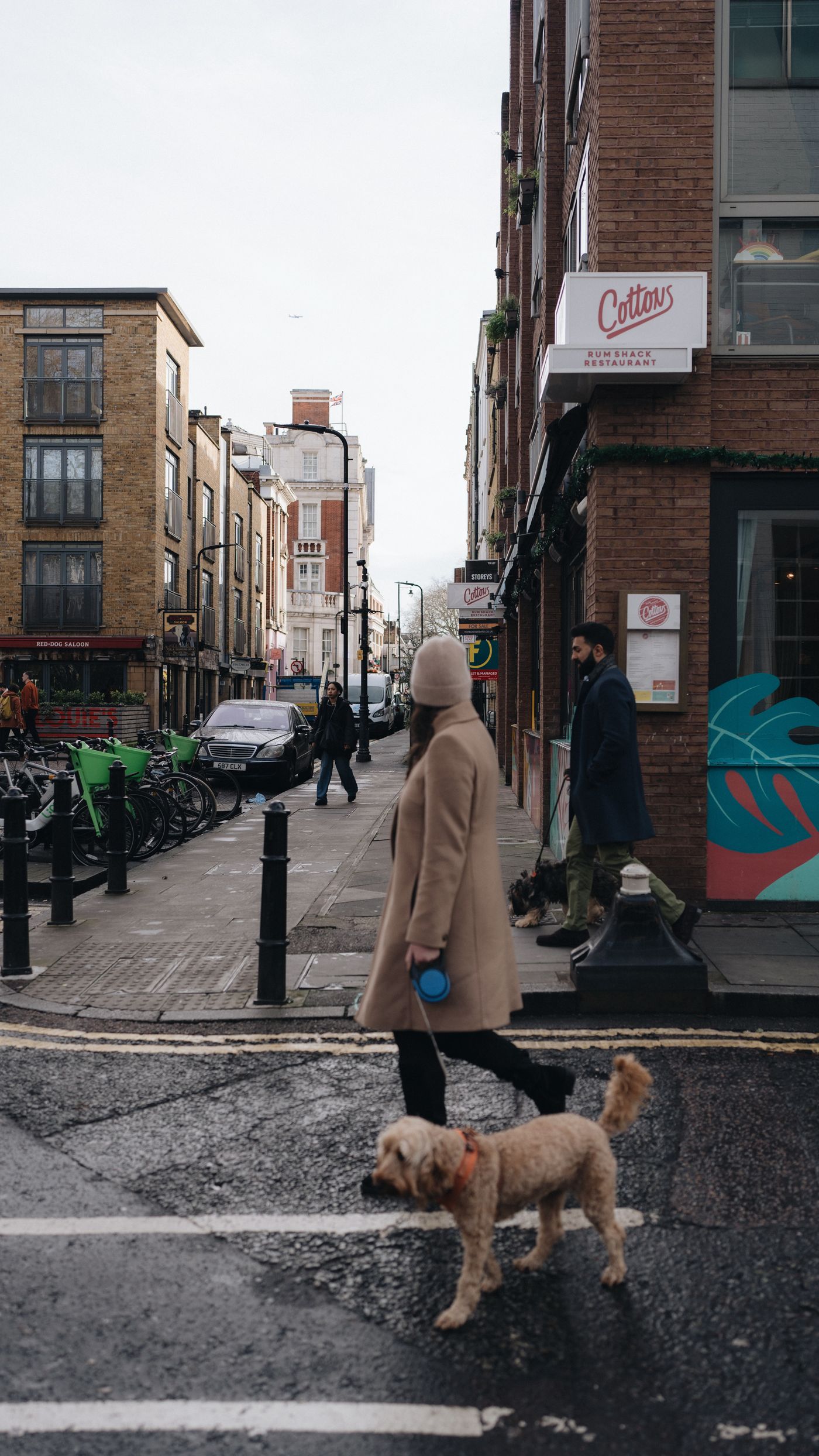 A person and dog pausing on an urban walkway.