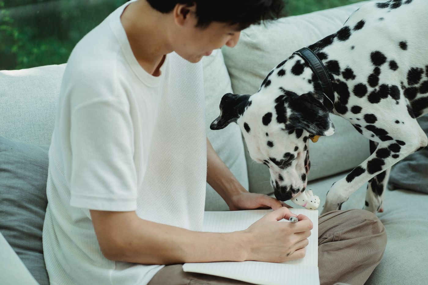 A person taking notes with a Dalmatian close by.