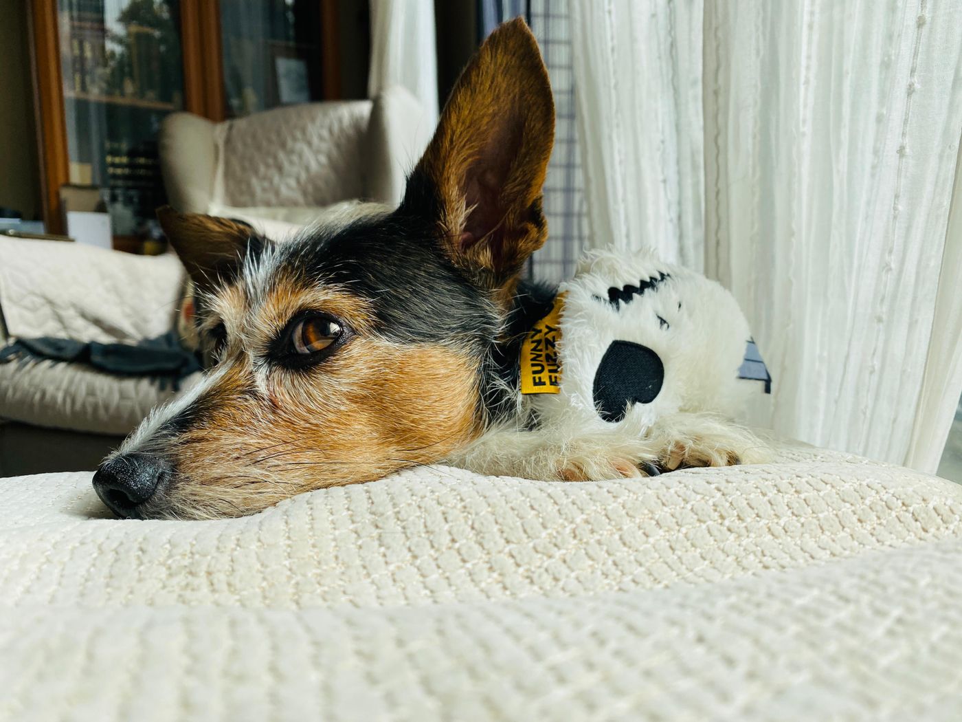 A dog resting on a cushion beside a plush toy.