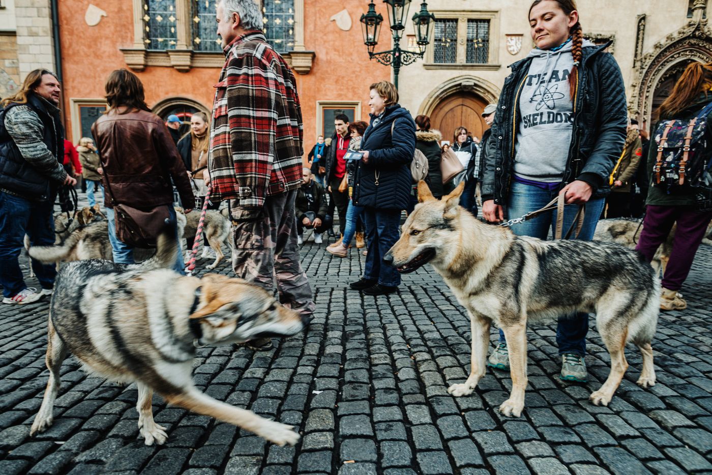 People with separate dogs standing on a broad paved area.