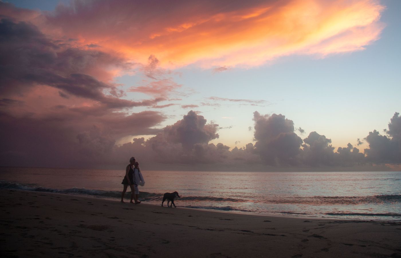 People walking a dog on a beach at sunset.