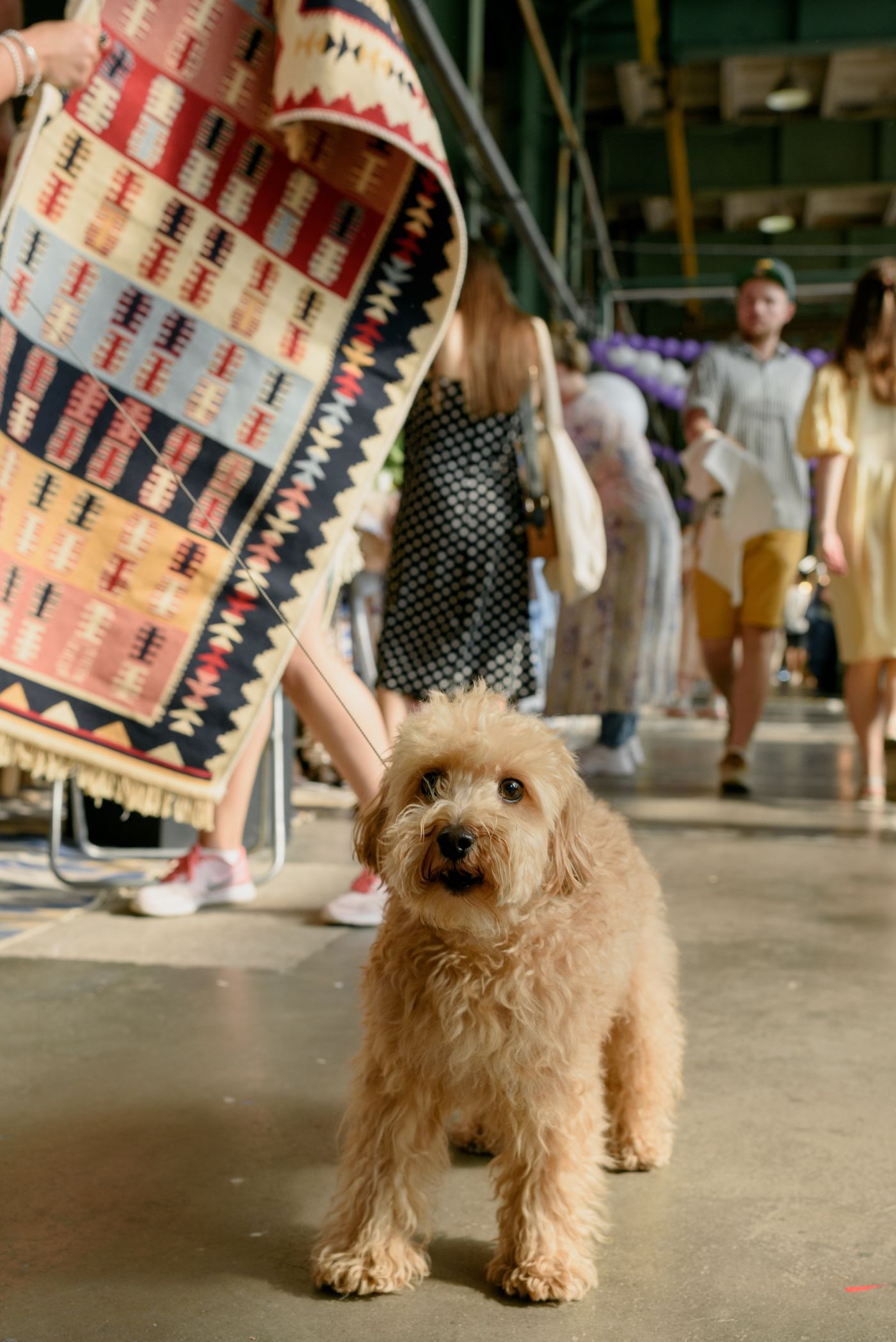 A dog standing among people in a busy indoor market.