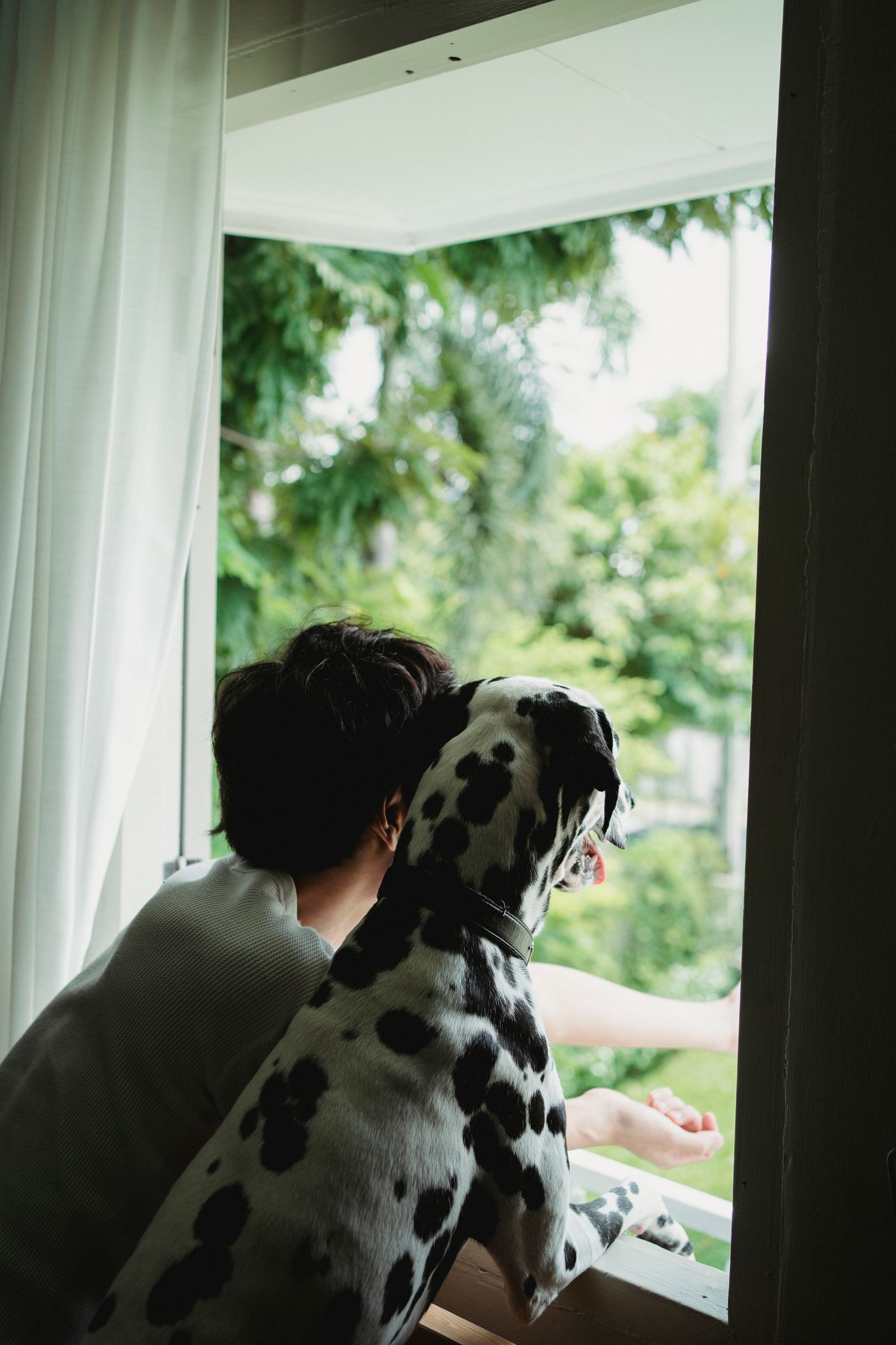 A dog beside a person, looking away through an open window.